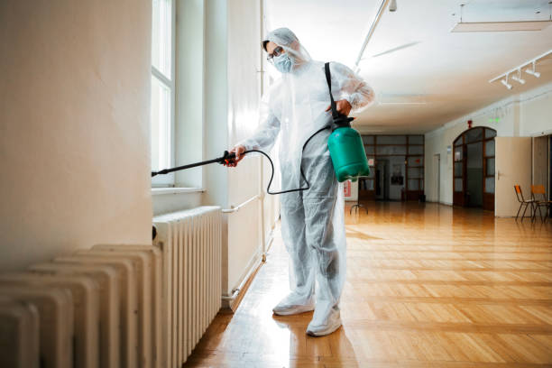 Best Pest Removal Services  in Whetstone, AZ